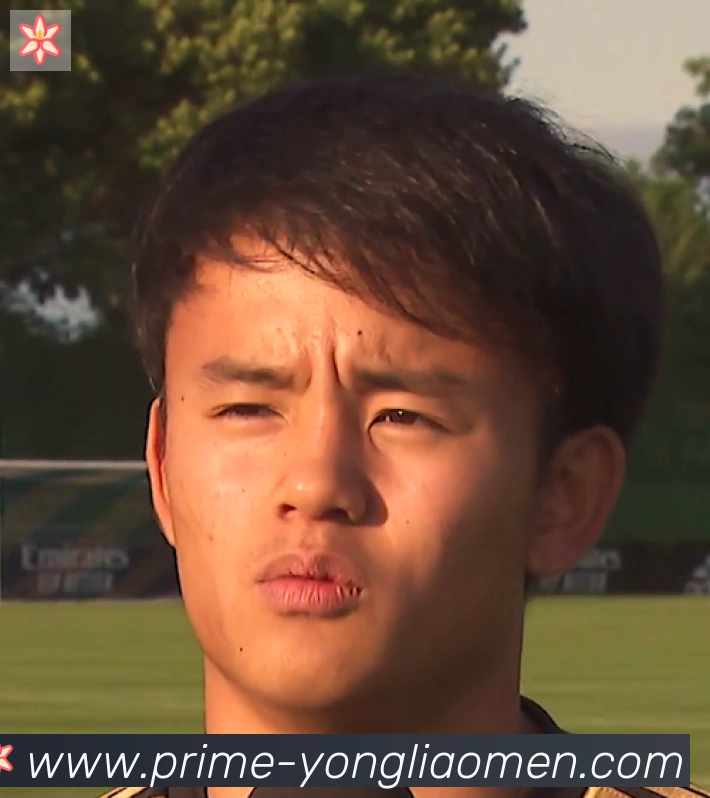 莫德里奇
